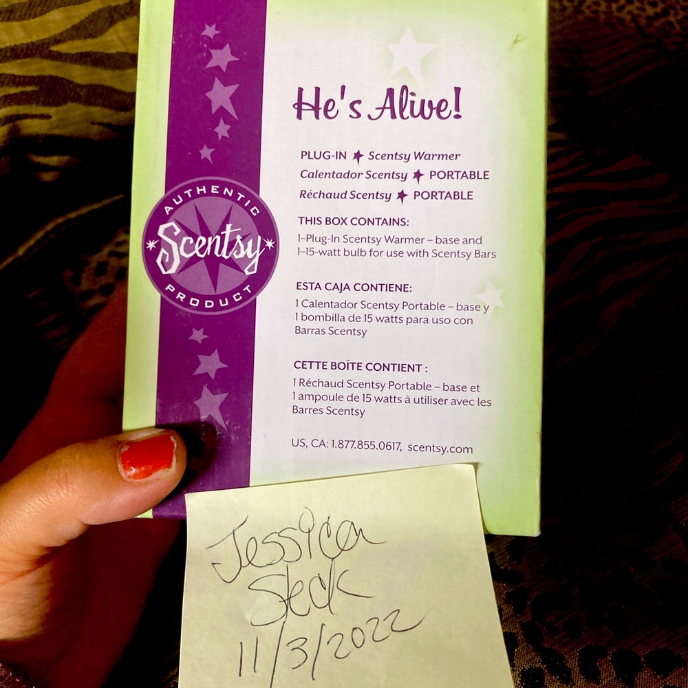 Scentsy plug in